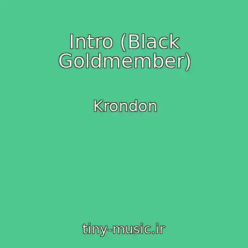 کاور آهنگ Intro (Black Goldmember) از Krondon