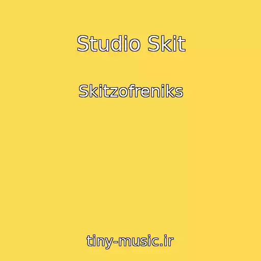 کاور آهنگ Studio Skit از Skitzofreniks