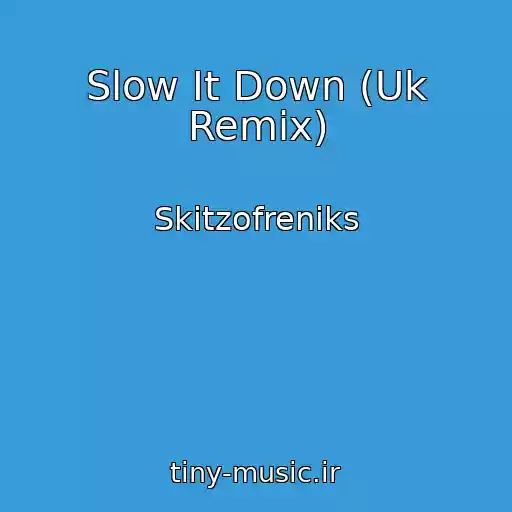 کاور آهنگ Slow It Down (Uk Remix) از Skitzofreniks