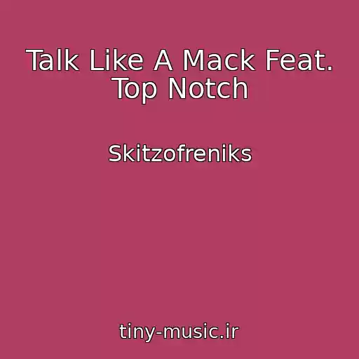 کاور آهنگ Talk Like A Mack Feat. Top Notch از Skitzofreniks