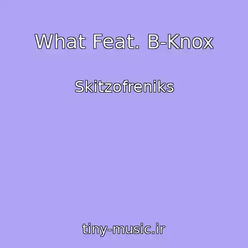 کاور آهنگ What Feat. B-Knox از Skitzofreniks