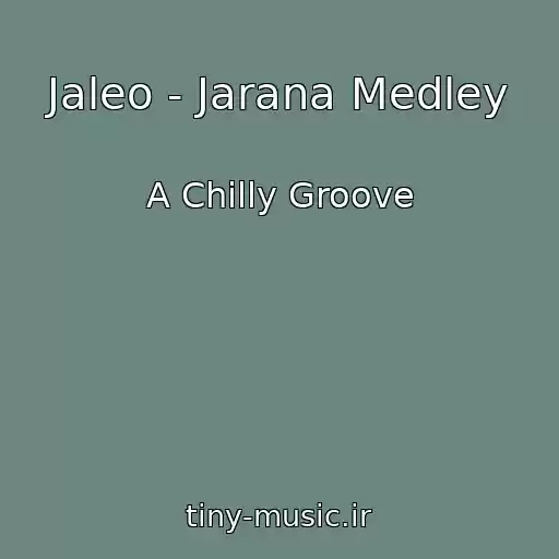 کاور آهنگ Jaleo - Jarana Medley از A Chilly Groove