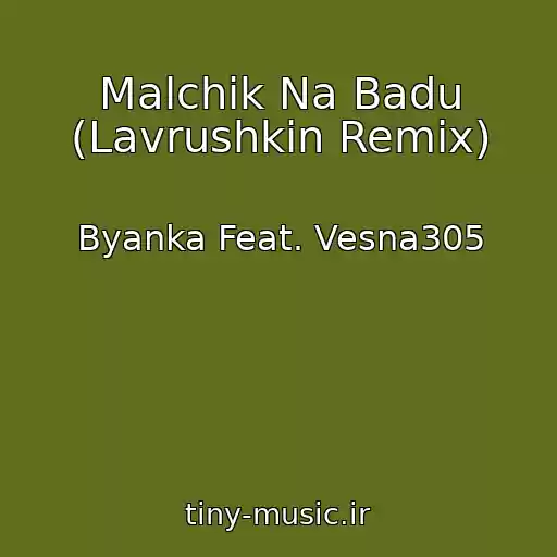 کاور آهنگ Malchik Na Badu (Lavrushkin Remix) از Byanka Feat. Vesna305