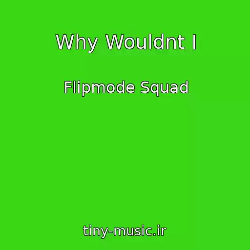 کاور آهنگ Why Wouldnt I از Flipmode Squad