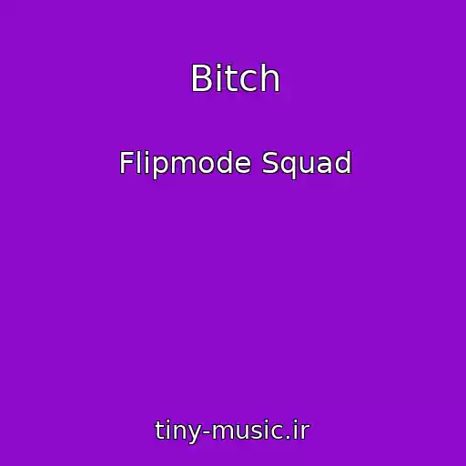 کاور آهنگ Bitch از Flipmode Squad