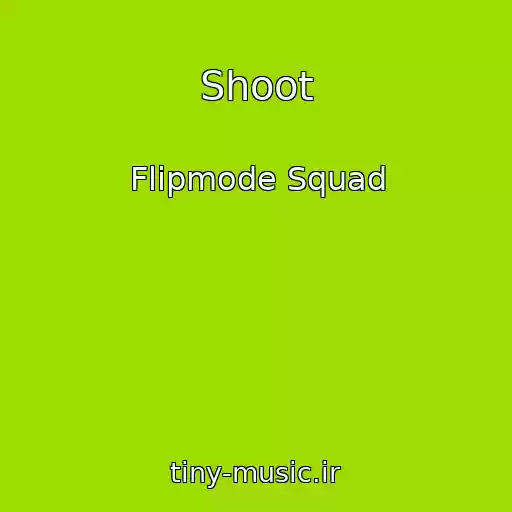 کاور آهنگ Shoot از Flipmode Squad