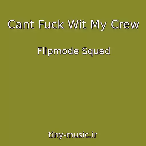 کاور آهنگ Cant Fuck Wit My Crew از Flipmode Squad