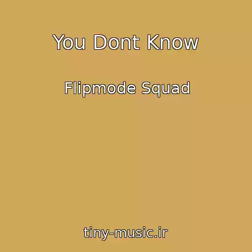 کاور آهنگ You Dont Know از Flipmode Squad
