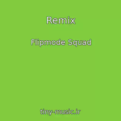 کاور آهنگ Remix از Flipmode Squad