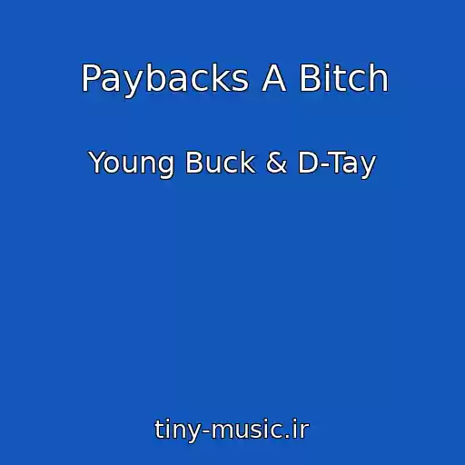کاور آهنگ Paybacks A Bitch از Young Buck & D-Tay
