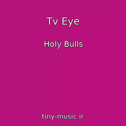 کاور آهنگ Tv Eye از Holy Bulls