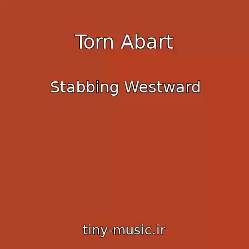کاور آهنگ Torn Abart از Stabbing Westward
