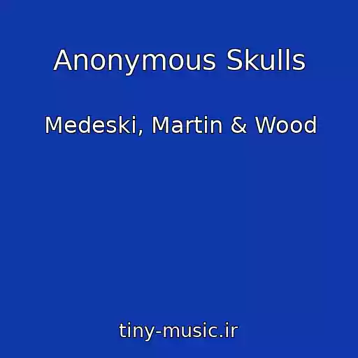 کاور آهنگ Anonymous Skulls از Medeski, Martin & Wood