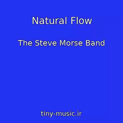 کاور آهنگ Natural Flow از The Steve Morse Band