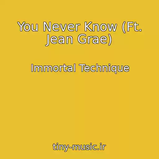 کاور آهنگ You Never Know (Ft. Jean Grae) از Immortal Technique