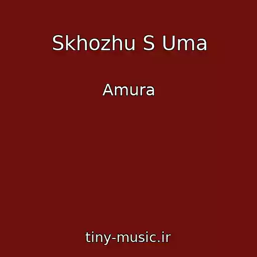 کاور آهنگ Skhozhu S Uma از Amura