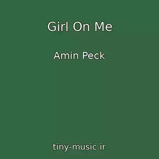 کاور آهنگ Girl On Me از Amin Peck