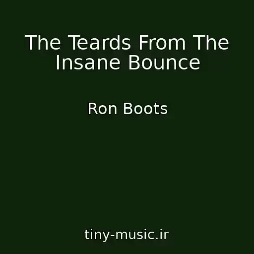 کاور آهنگ The Teards From The Insane Bounce از Ron Boots