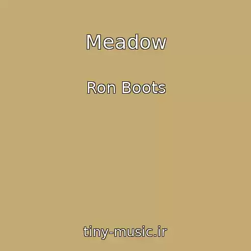 کاور آهنگ Meadow از Ron Boots