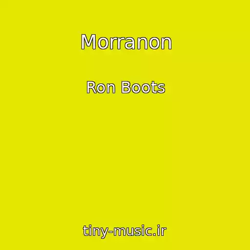 کاور آهنگ Morranon از Ron Boots