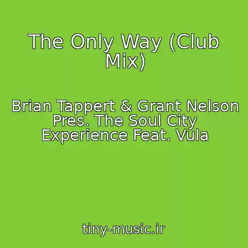 کاور آهنگ The Only Way (Club Mix) از Brian Tappert & Grant Nelson Pres. The Soul City Experience Feat. Vula