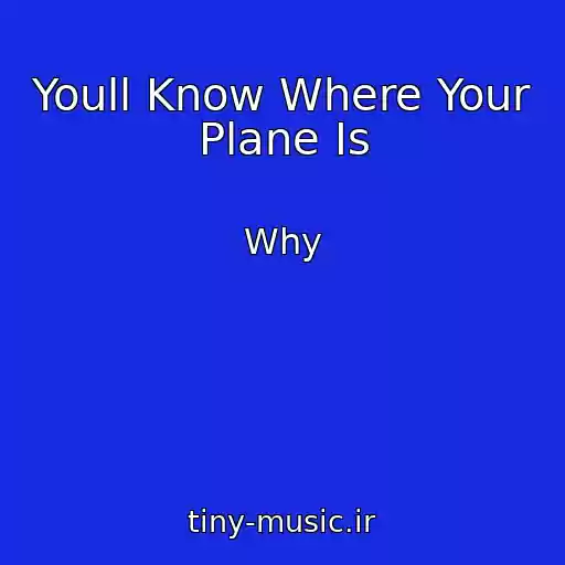 کاور آهنگ Youll Know Where Your Plane Is از Why