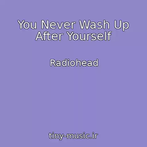 کاور آهنگ You Never Wash Up After Yourself از Radiohead