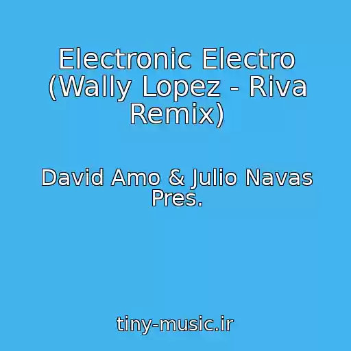 کاور آهنگ Electronic Electro (Wally Lopez - Riva Remix) از David Amo & Julio Navas Pres.