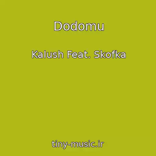 کاور آهنگ Dodomu از Kalush Feat. Skofka