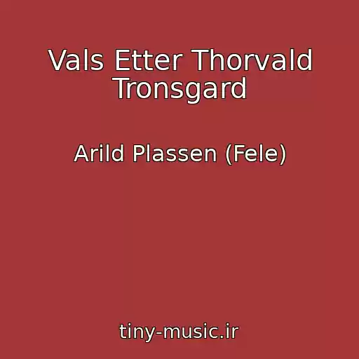 کاور آهنگ Vals Etter Thorvald Tronsgard از Arild Plassen (Fele)