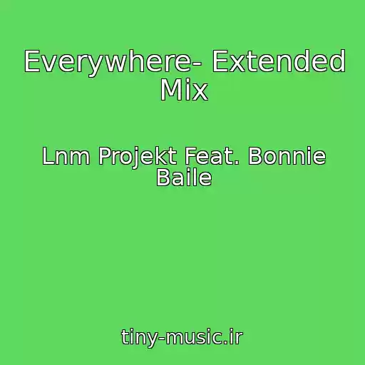 کاور آهنگ Everywhere- Extended Mix از Lnm Projekt Feat. Bonnie Baile