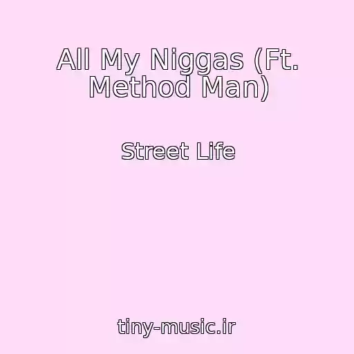 کاور آهنگ All My Niggas (Ft. Method Man) از Street Life