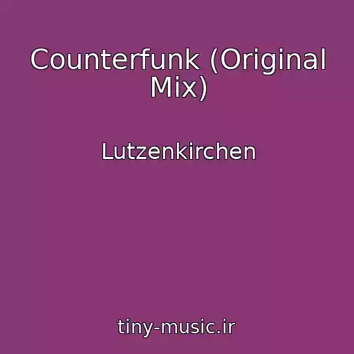 کاور آهنگ Counterfunk (Original Mix) از Lutzenkirchen