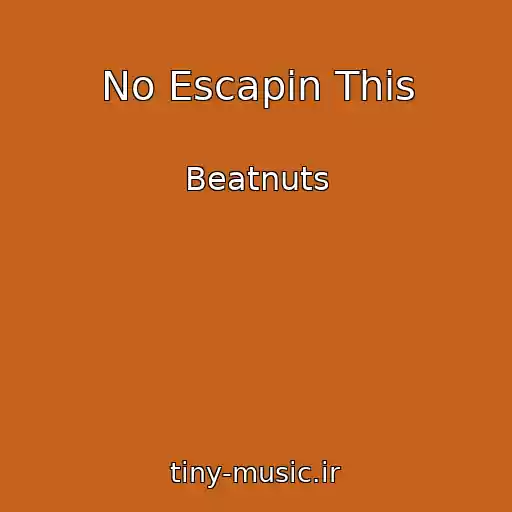 کاور آهنگ No Escapin This از Beatnuts