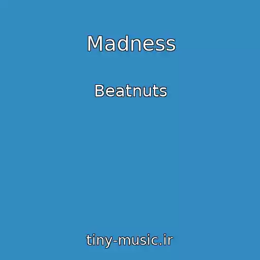 کاور آهنگ Madness از Beatnuts