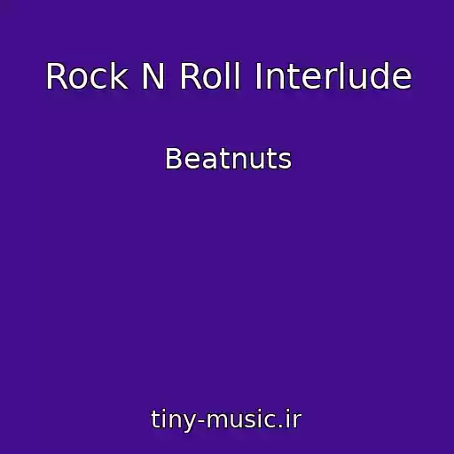 کاور آهنگ Rock N Roll Interlude از Beatnuts