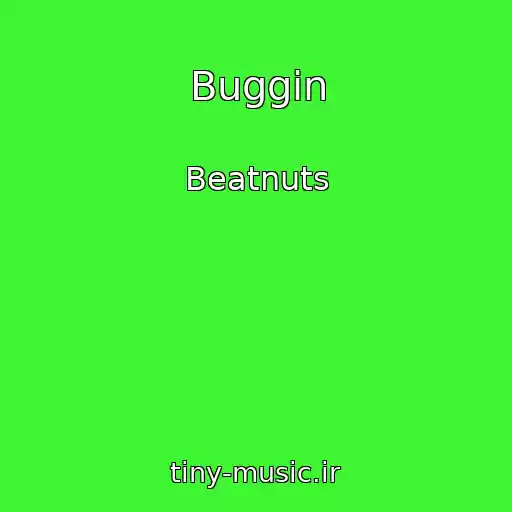 کاور آهنگ Buggin از Beatnuts