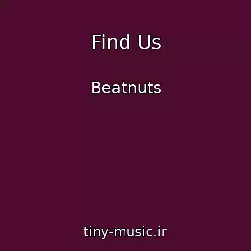 کاور آهنگ Find Us از Beatnuts