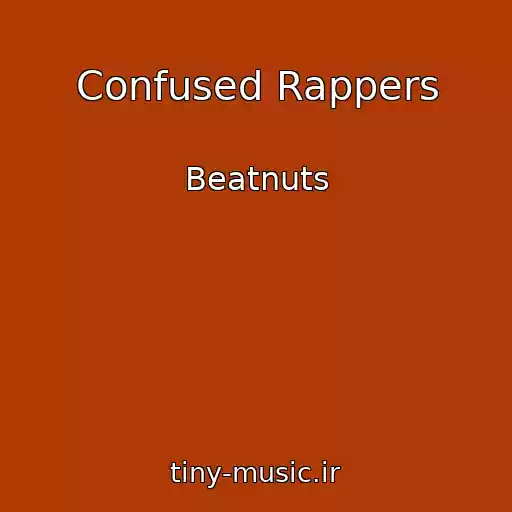 کاور آهنگ Confused Rappers از Beatnuts