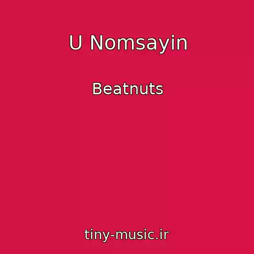 کاور آهنگ U Nomsayin از Beatnuts