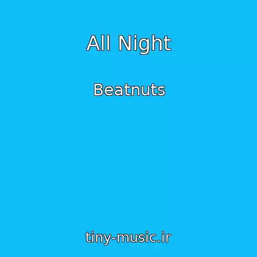 کاور آهنگ All Night از Beatnuts