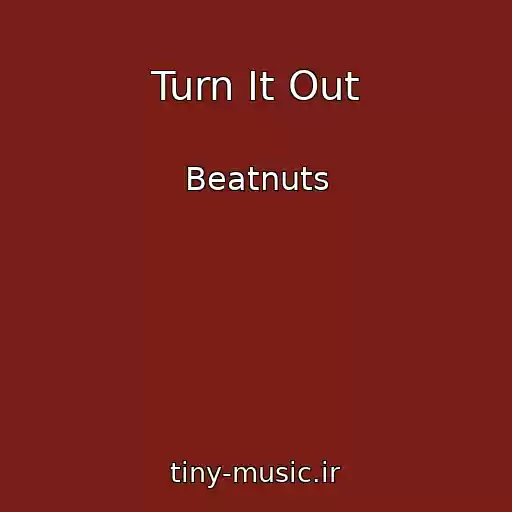 کاور آهنگ Turn It Out از Beatnuts