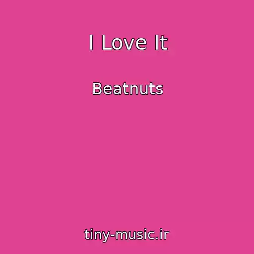 کاور آهنگ I Love It از Beatnuts
