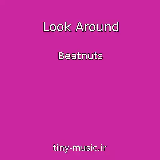 کاور آهنگ Look Around از Beatnuts