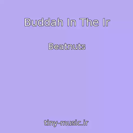 کاور آهنگ Buddah In The Ir از Beatnuts