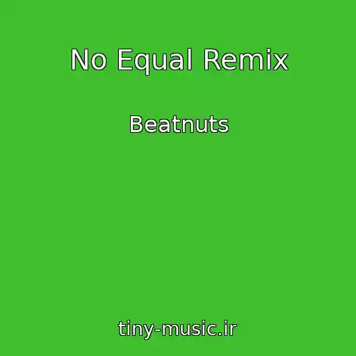کاور آهنگ No Equal Remix از Beatnuts