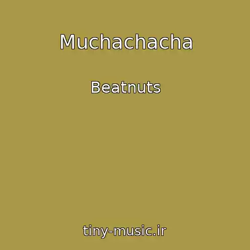 کاور آهنگ Muchachacha از Beatnuts