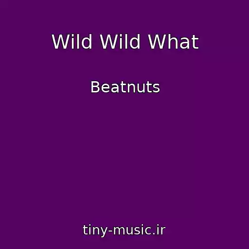 کاور آهنگ Wild Wild What از Beatnuts