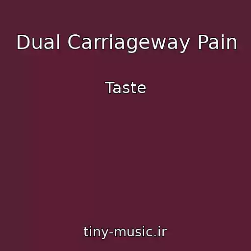 کاور آهنگ Dual Carriageway Pain از Taste