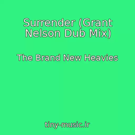 کاور آهنگ Surrender (Grant Nelson Dub Mix) از The Brand New Heavies
